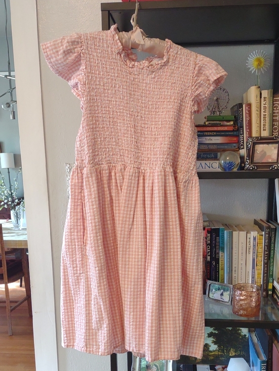 Time and Tru Dresses & Skirts - Pink Gingham Smocked Ruffle Dress